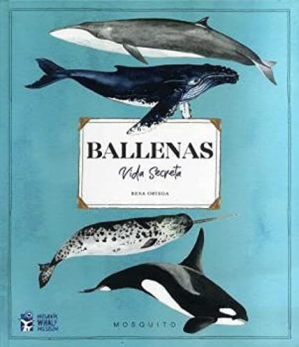 Tapa de Ballenas (Vida Secreta)